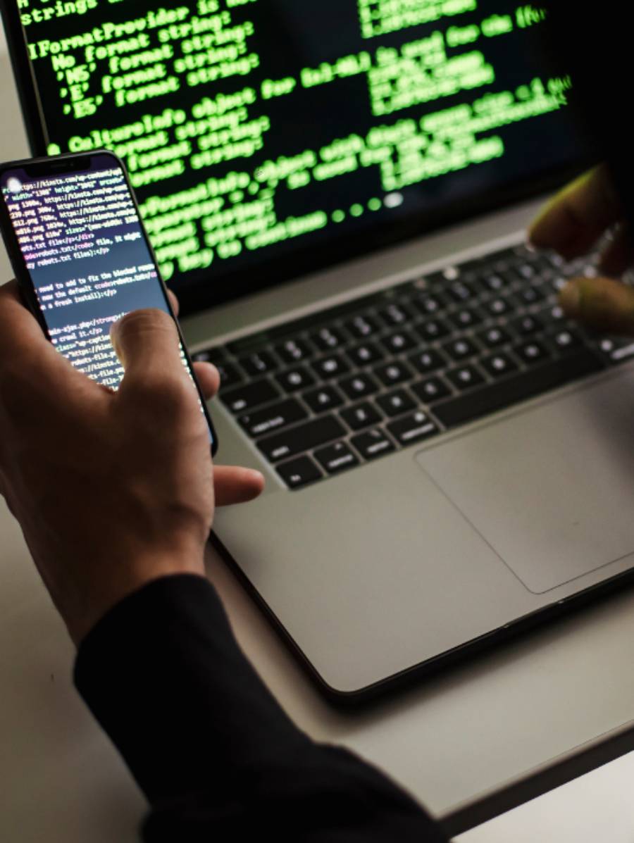 Web Development