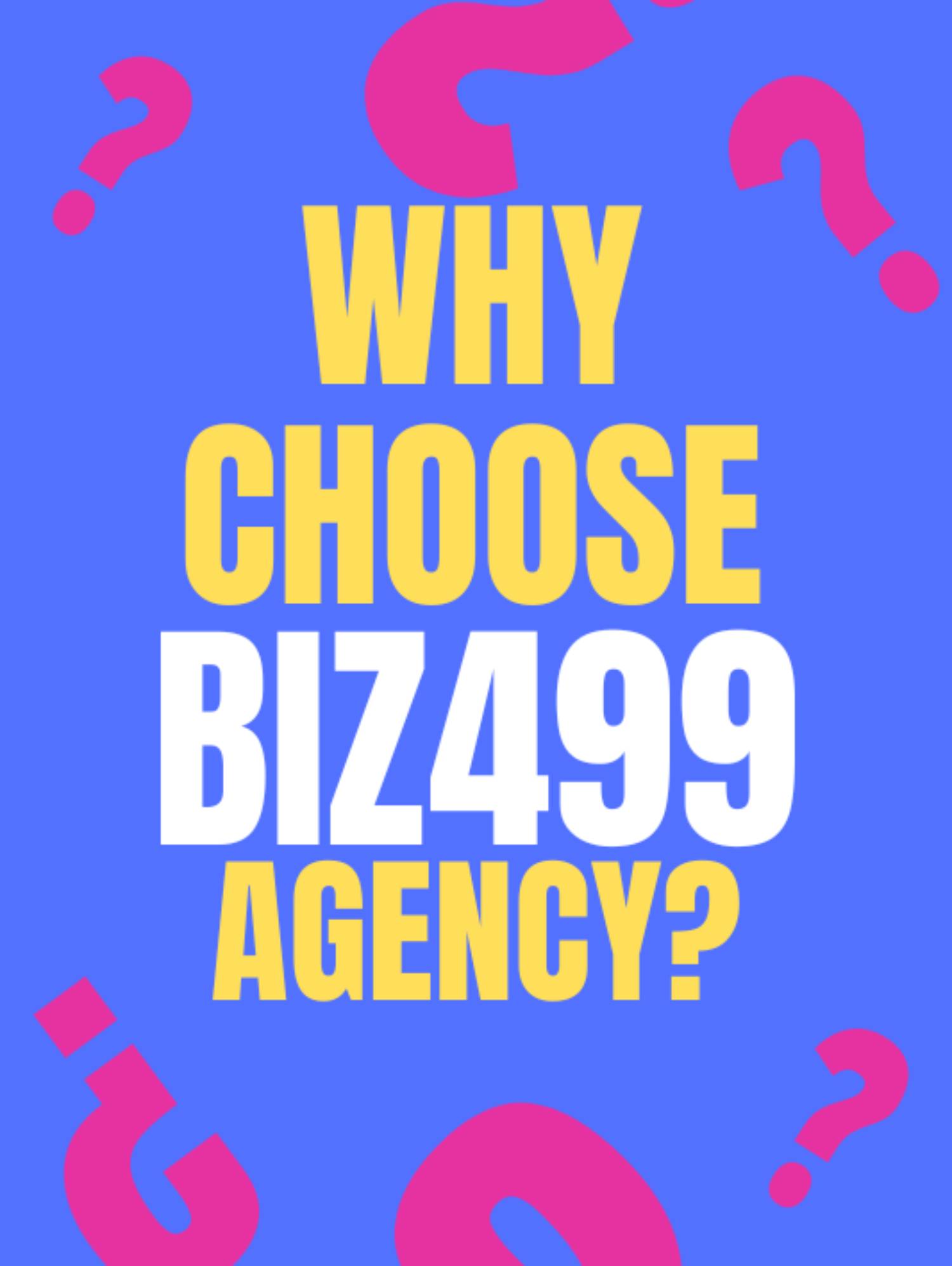 Why Choose Biz499 Agency?